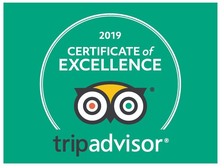 2019 certificate of excellence