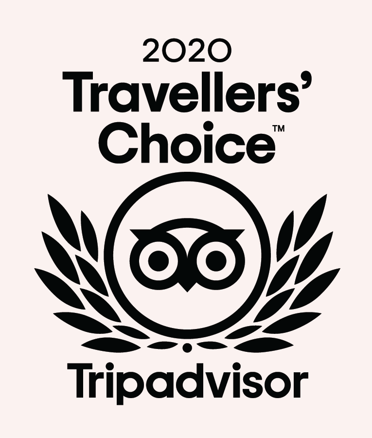 2020 Travellers' Choice award TripAdvisor