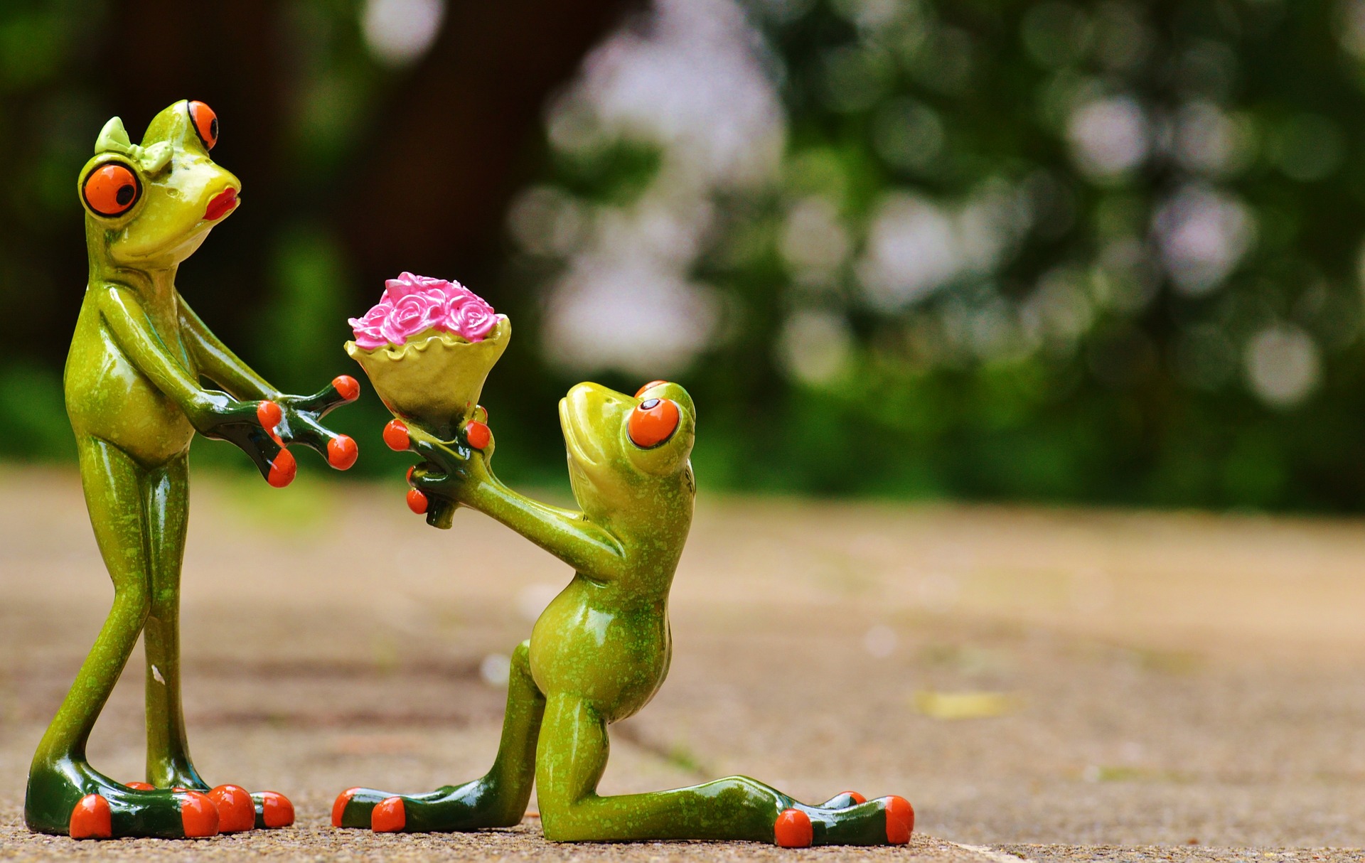 Be our Valentine at Harrogate Lifestyle Apartments #Harrogatelifestyleblog romantic moment between Prince charming frog and his love